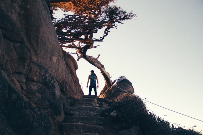 climbing stairs as workout