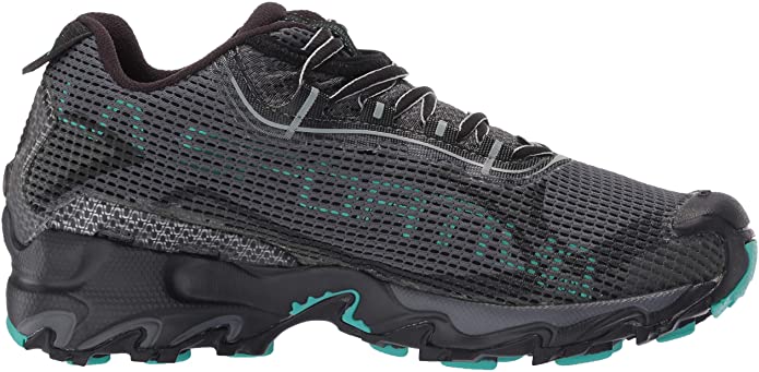 Wildcat 2.0 GTX as one of the best cross country shoes