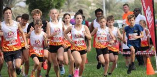 article about the best cross country shoes