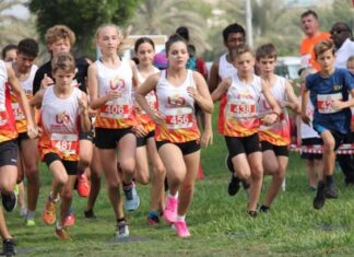 article about the best cross country shoes